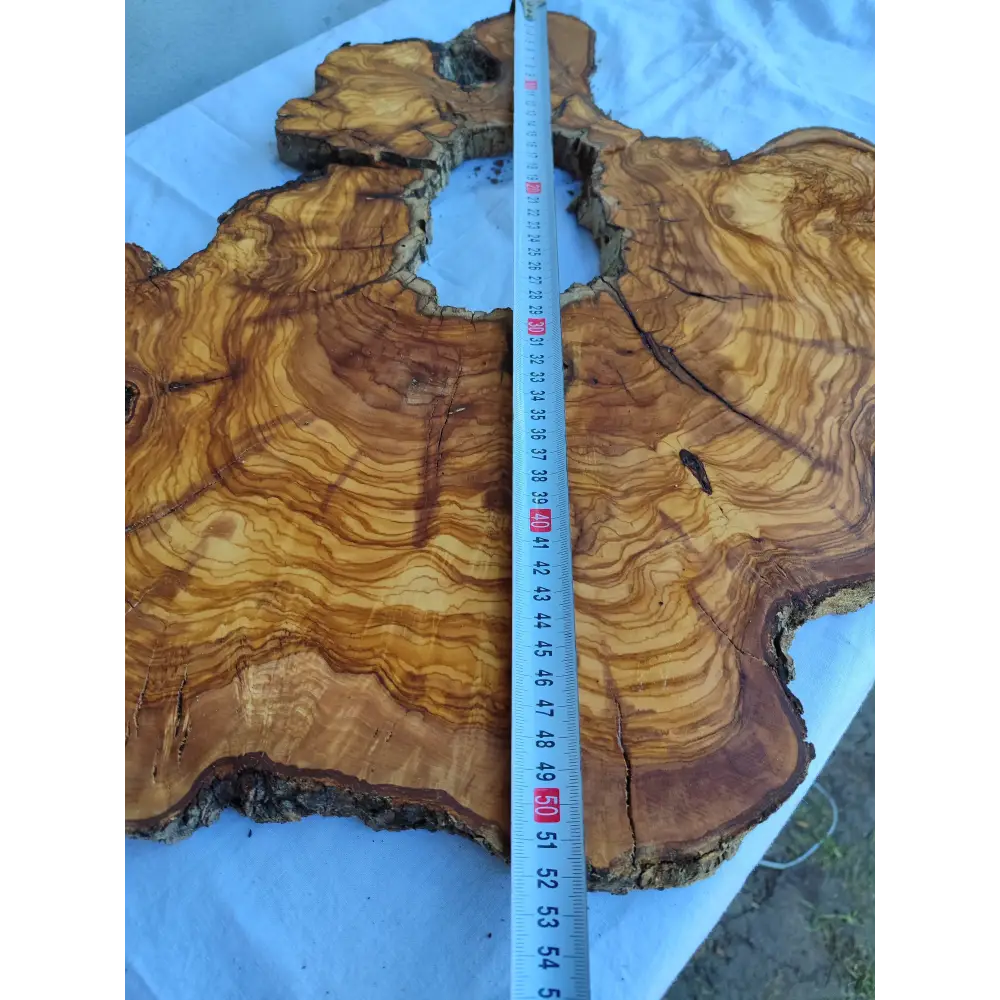 Rare Huge Live Edge Olive Wood Burl Slab 48x52cm - Premium Dry Exotic Lumber for Epoxy Resin Art, Guitar Body & Luxury Coffee Table DIY.