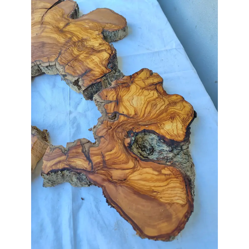 Rare Huge Live Edge Olive Wood Burl Slab 48x52cm - Premium Dry Exotic Lumber for Epoxy Resin Art, Guitar Body & Luxury Coffee Table DIY.