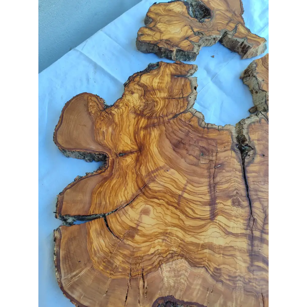 Rare Huge Live Edge Olive Wood Burl Slab 48x52cm - Premium Dry Exotic Lumber for Epoxy Resin Art, Guitar Body & Luxury Coffee Table DIY.