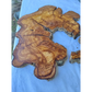 Rare Huge Live Edge Olive Wood Burl Slab 48x52cm - Premium Dry Exotic Lumber for Epoxy Resin Art, Guitar Body & Luxury Coffee Table DIY.