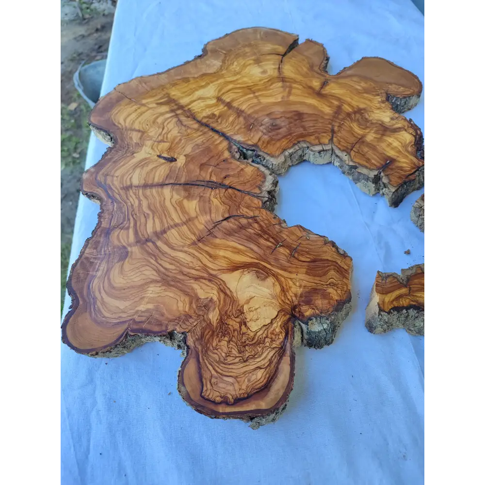 Rare Huge Live Edge Olive Wood Burl Slab 48x52cm - Premium Dry Exotic Lumber for Epoxy Resin Art, Guitar Body & Luxury Coffee Table DIY.