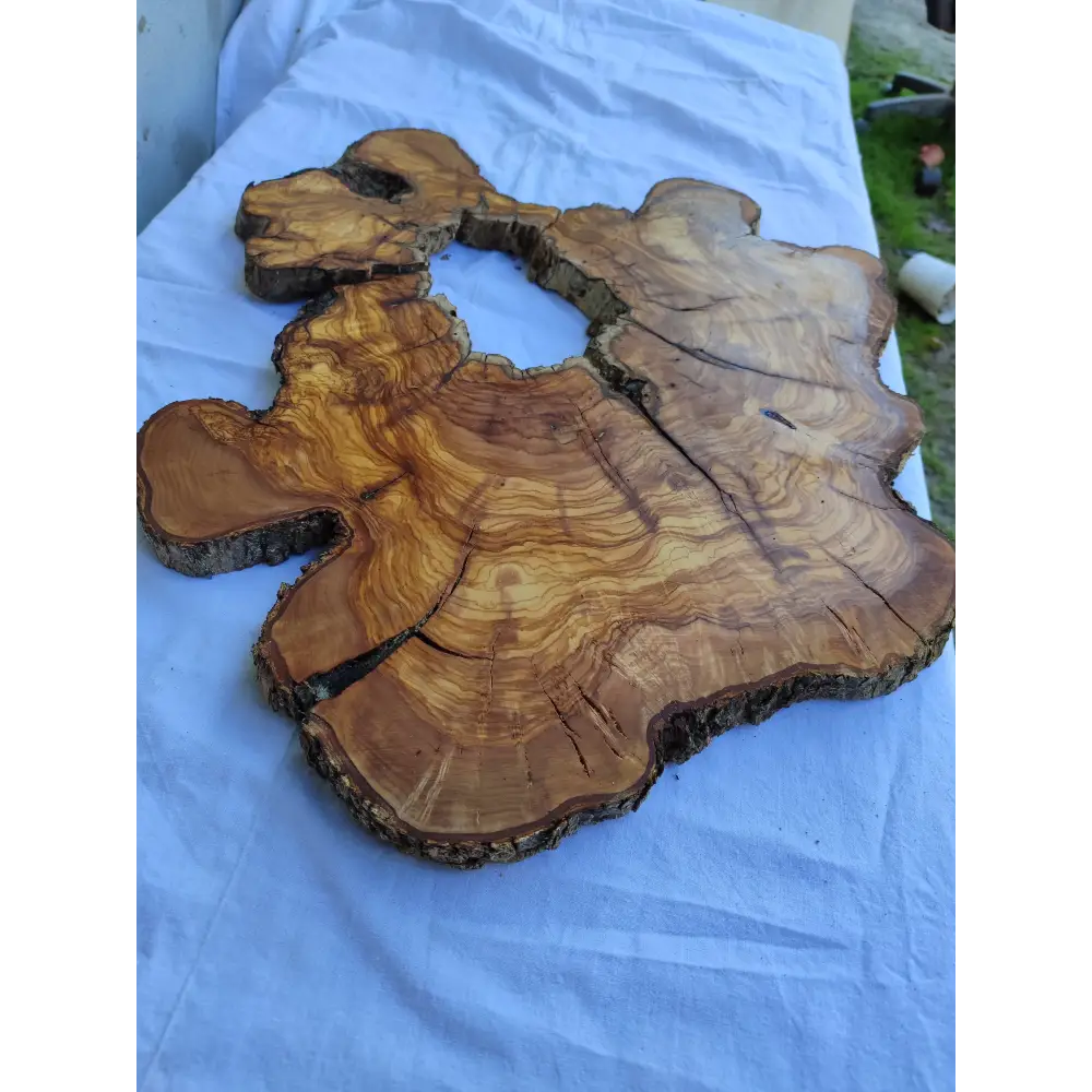 Rare Huge Live Edge Olive Wood Burl Slab 48x52cm - Premium Dry Exotic Lumber for Epoxy Resin Art, Guitar Body & Luxury Coffee Table DIY.