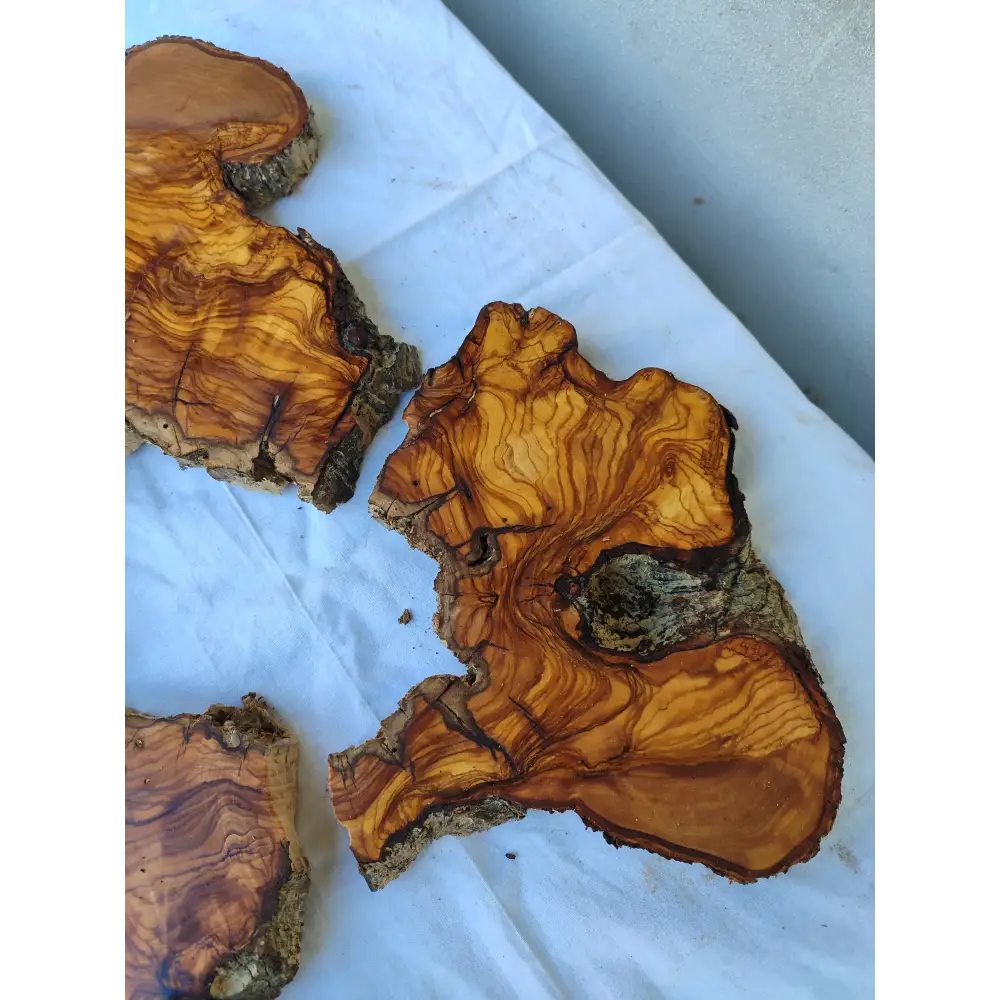 Rare Huge Live Edge Olive Wood Burl Slab 48x52cm - Premium Dry Exotic Lumber for Epoxy Resin Art, Guitar Body & Luxury Coffee Table DIY.