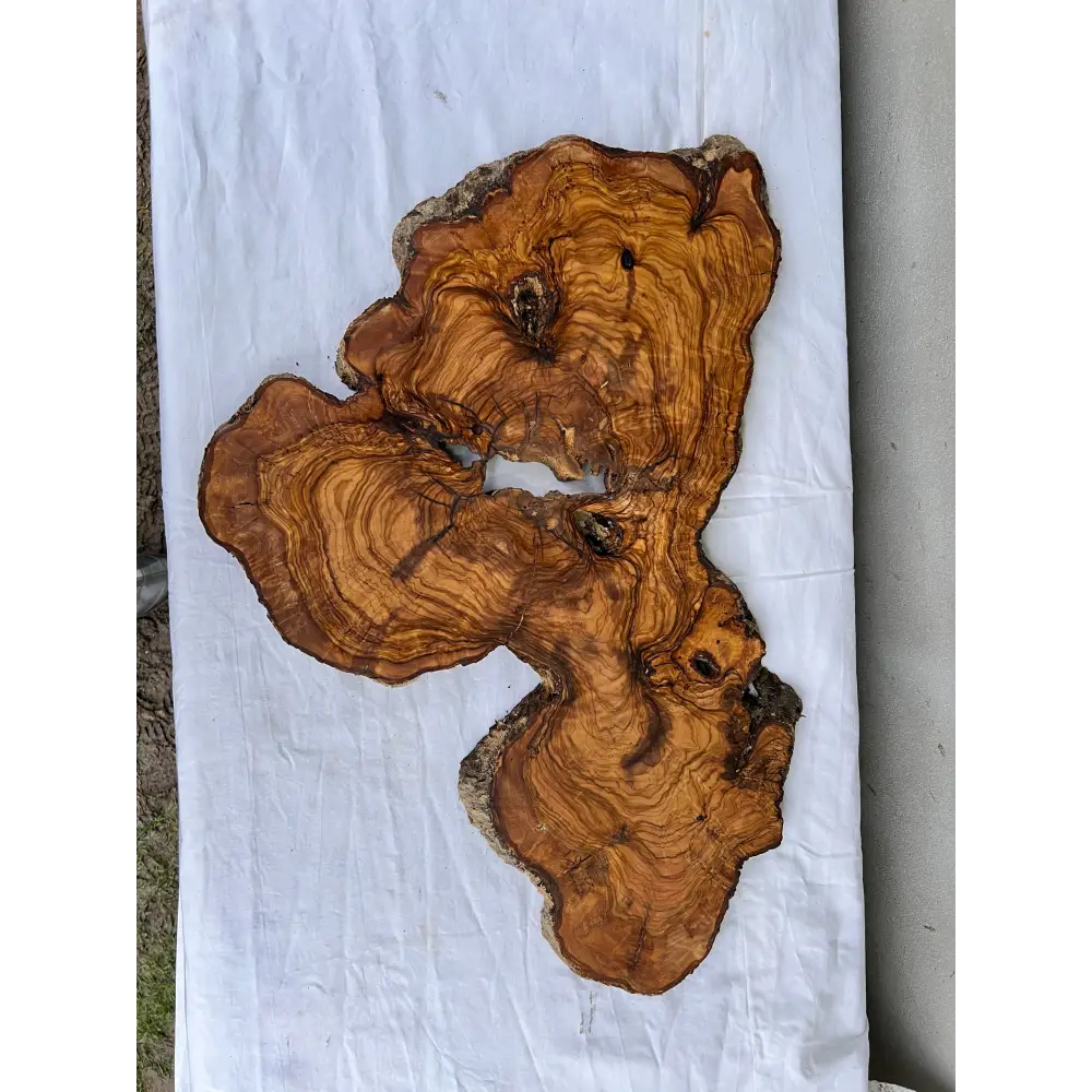 Rare Live Edge Olive Wood Slab 38x61cm - Premium Dry Luthier Lumber for Epoxy Resin Art, Coffee Tables & Unique Guitar Bodies.