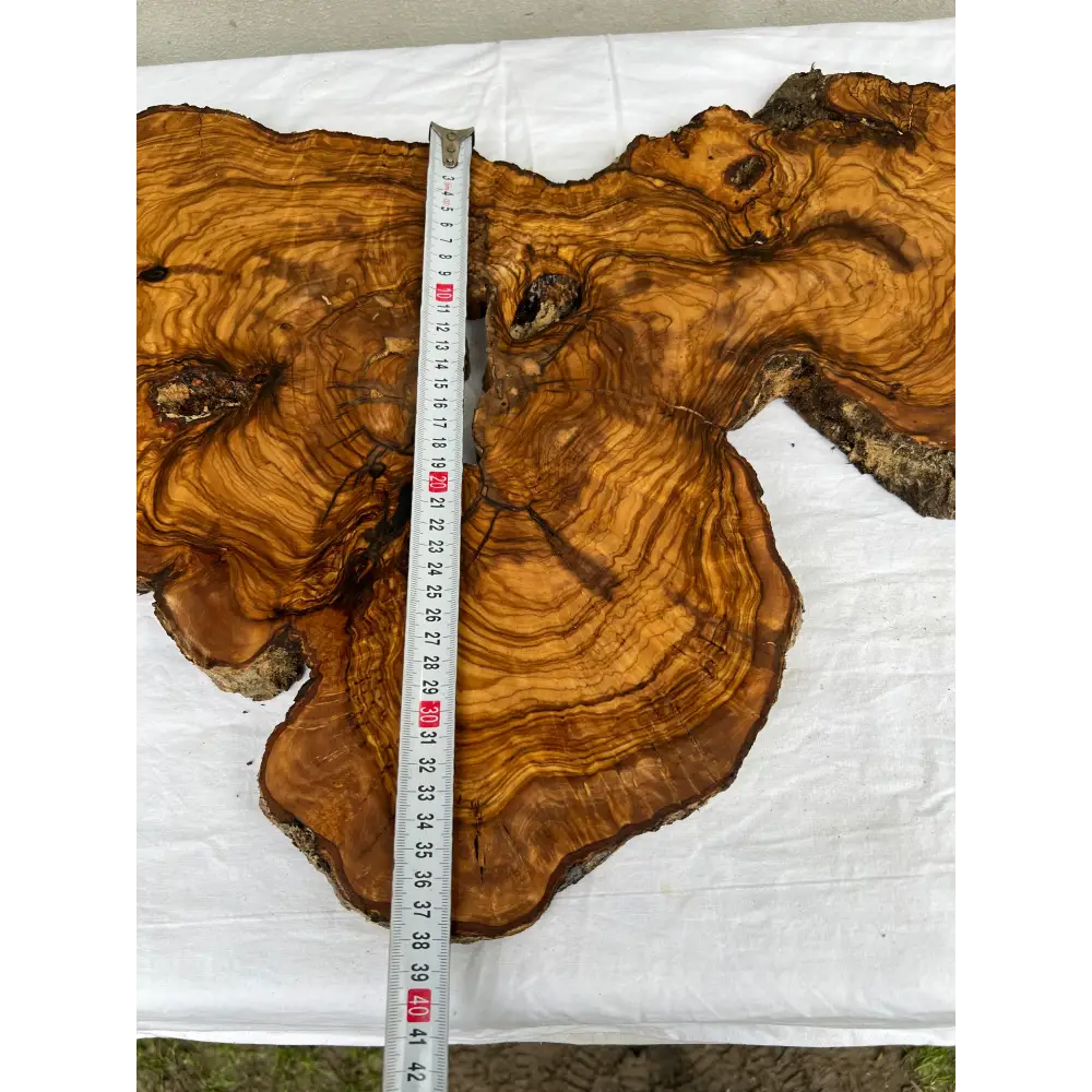 Rare Live Edge Olive Wood Slab 38x61cm - Premium Dry Luthier Lumber for Epoxy Resin Art, Coffee Tables & Unique Guitar Bodies.