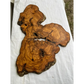 Rare Live Edge Olive Wood Slab 38x61cm - Premium Dry Luthier Lumber for Epoxy Resin Art, Coffee Tables & Unique Guitar Bodies.