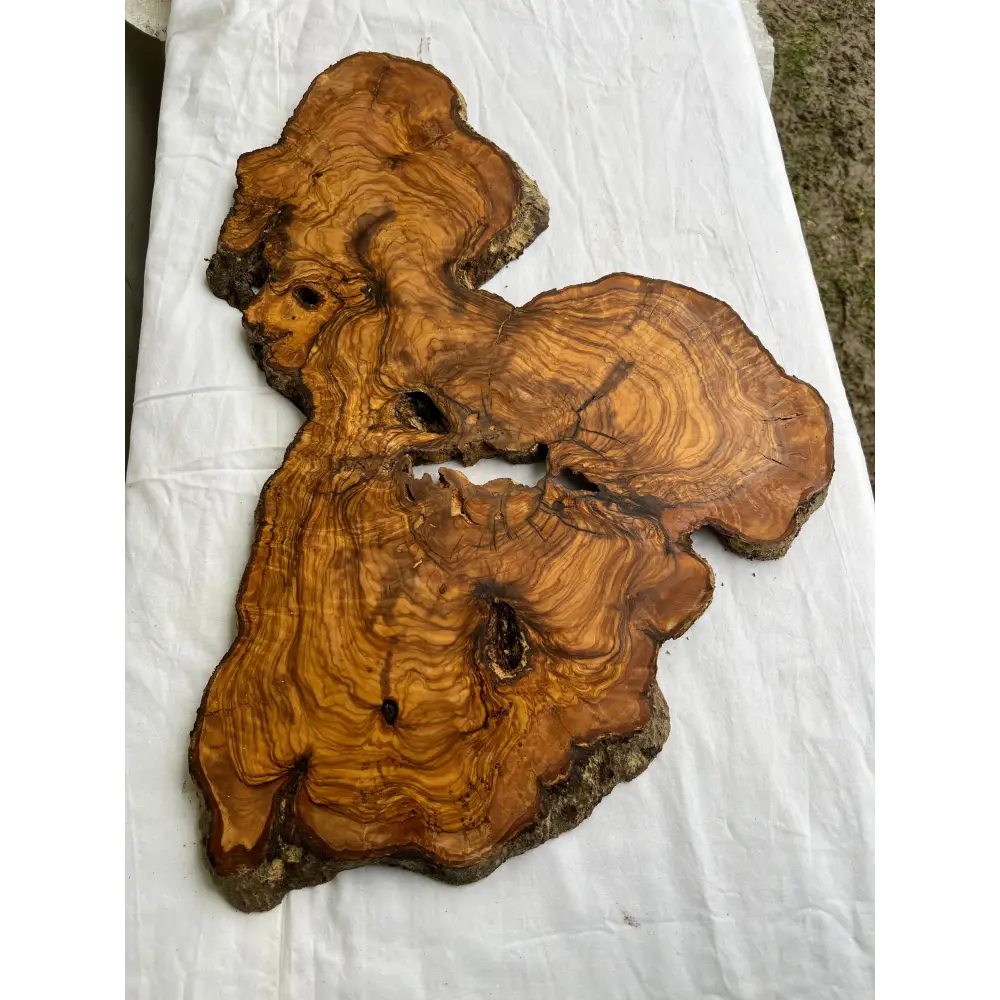 Rare Live Edge Olive Wood Slab 38x61cm - Premium Dry Luthier Lumber for Epoxy Resin Art, Coffee Tables & Unique Guitar Bodies.