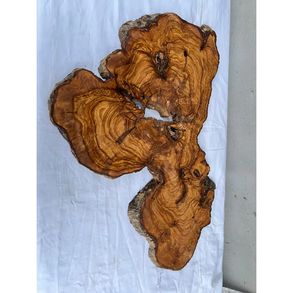 Rare Live Edge Olive Wood Slab 38x61cm - Premium Dry Luthier Lumber for Epoxy Resin Art, Coffee Tables & Unique Guitar Bodies.