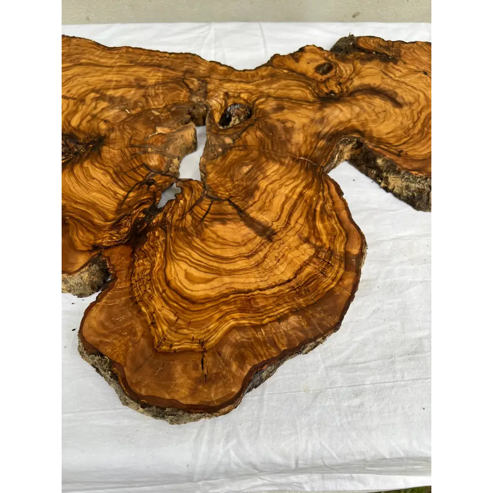 Rare Live Edge Olive Wood Slab 38x61cm - Premium Dry Luthier Lumber for Epoxy Resin Art, Coffee Tables & Unique Guitar Bodies.