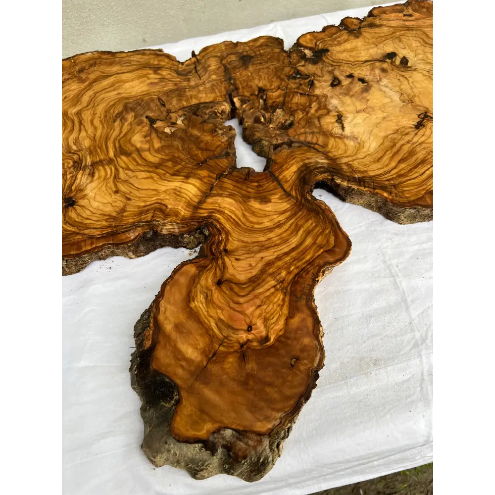 Rare Live Edge Olive Wood Slab (44x64cm) - Super Dry Epoxy Resin Lumber for Coffee Table, Clock & Guitar Body - Unique Natural Grain Art.