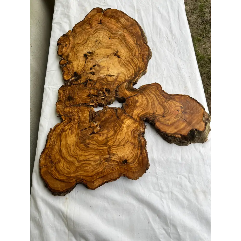 Rare Live Edge Olive Wood Slab (44x64cm) - Super Dry Epoxy Resin Lumber for Coffee Table, Clock & Guitar Body - Unique Natural Grain Art.