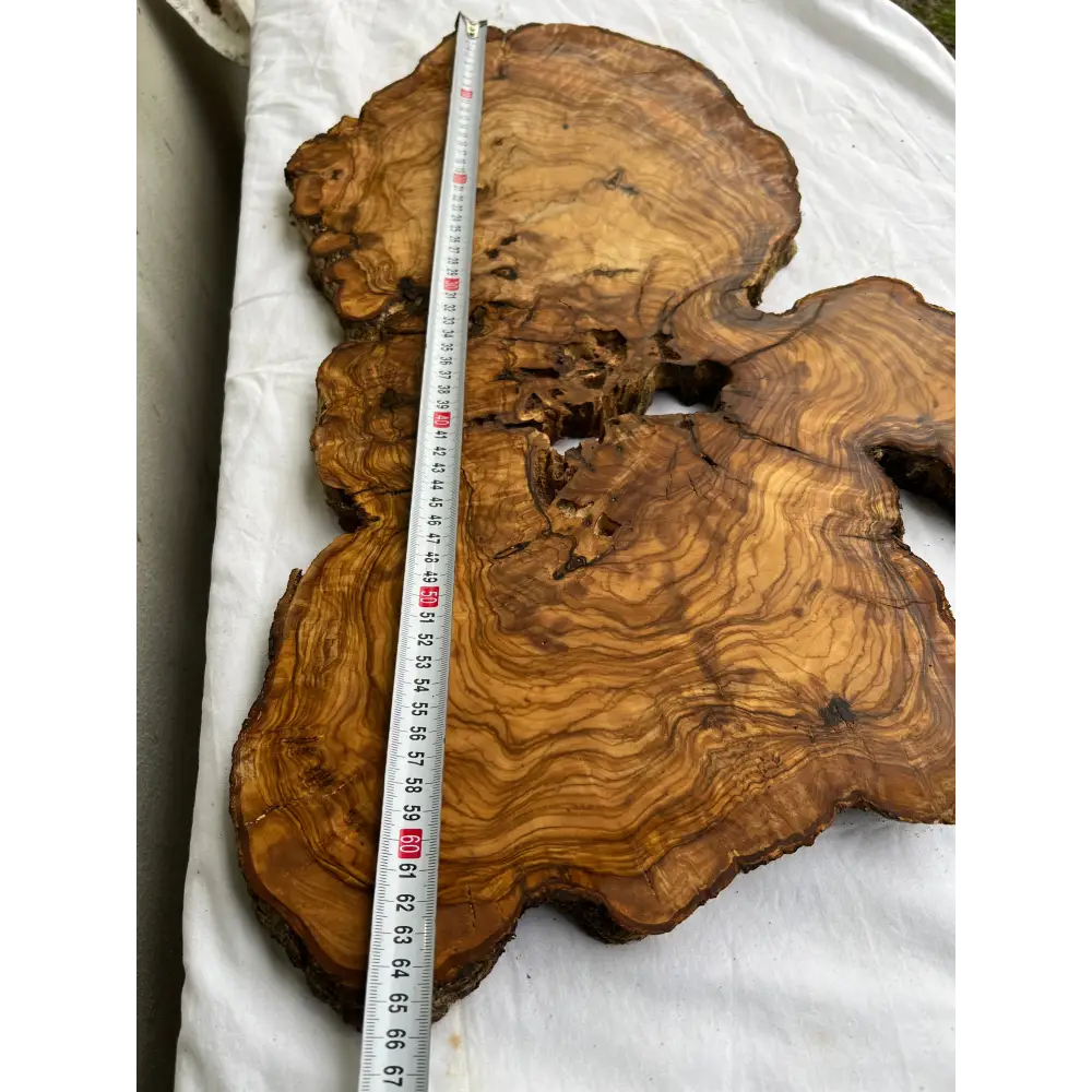 Rare Live Edge Olive Wood Slab (44x64cm) - Super Dry Epoxy Resin Lumber for Coffee Table, Clock & Guitar Body - Unique Natural Grain Art.