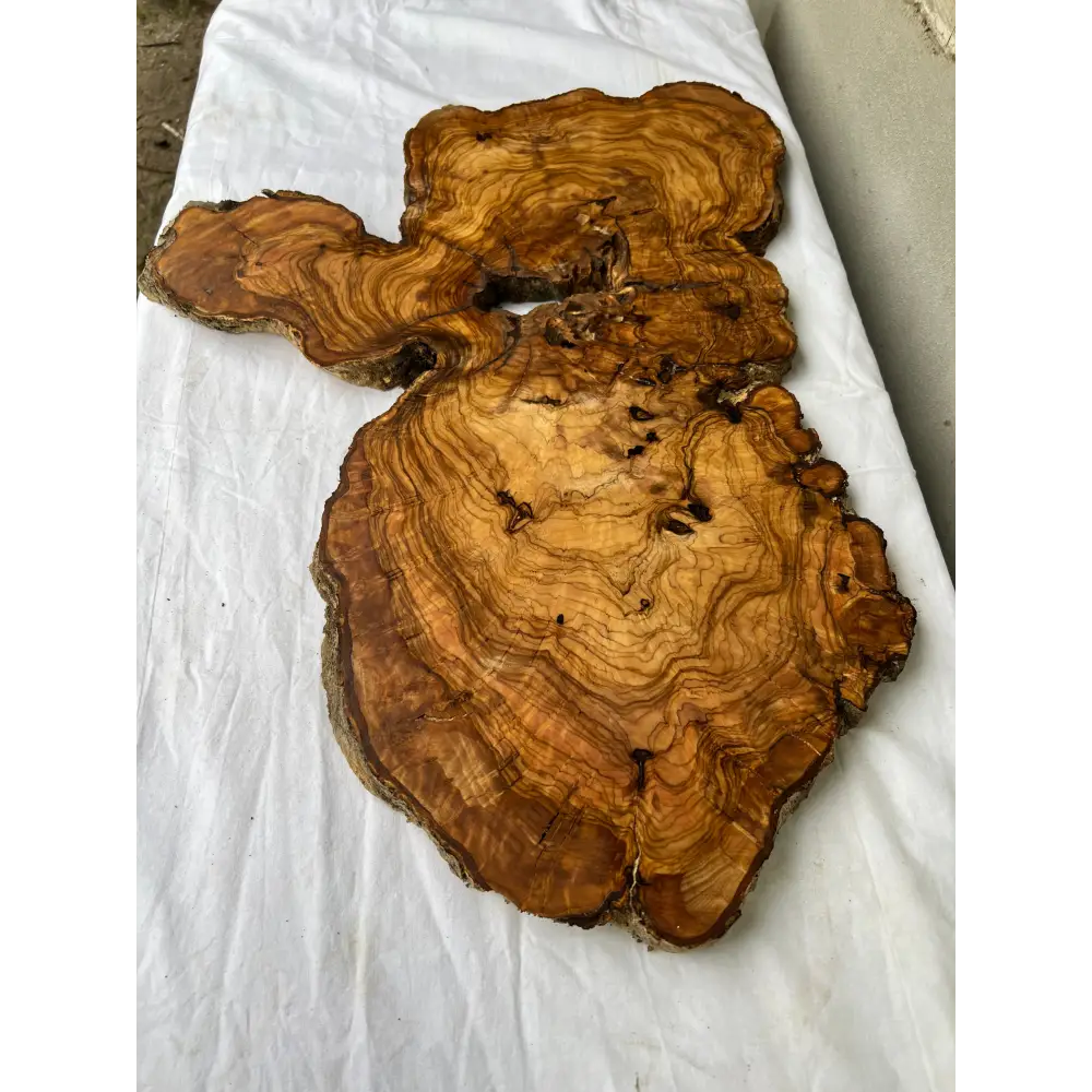 Rare Live Edge Olive Wood Slab (44x64cm) - Super Dry Epoxy Resin Lumber for Coffee Table, Clock & Guitar Body - Unique Natural Grain Art.