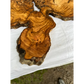 Rare Live Edge Olive Wood Slab (44x64cm) - Super Dry Epoxy Resin Lumber for Coffee Table, Clock & Guitar Body - Unique Natural Grain Art.