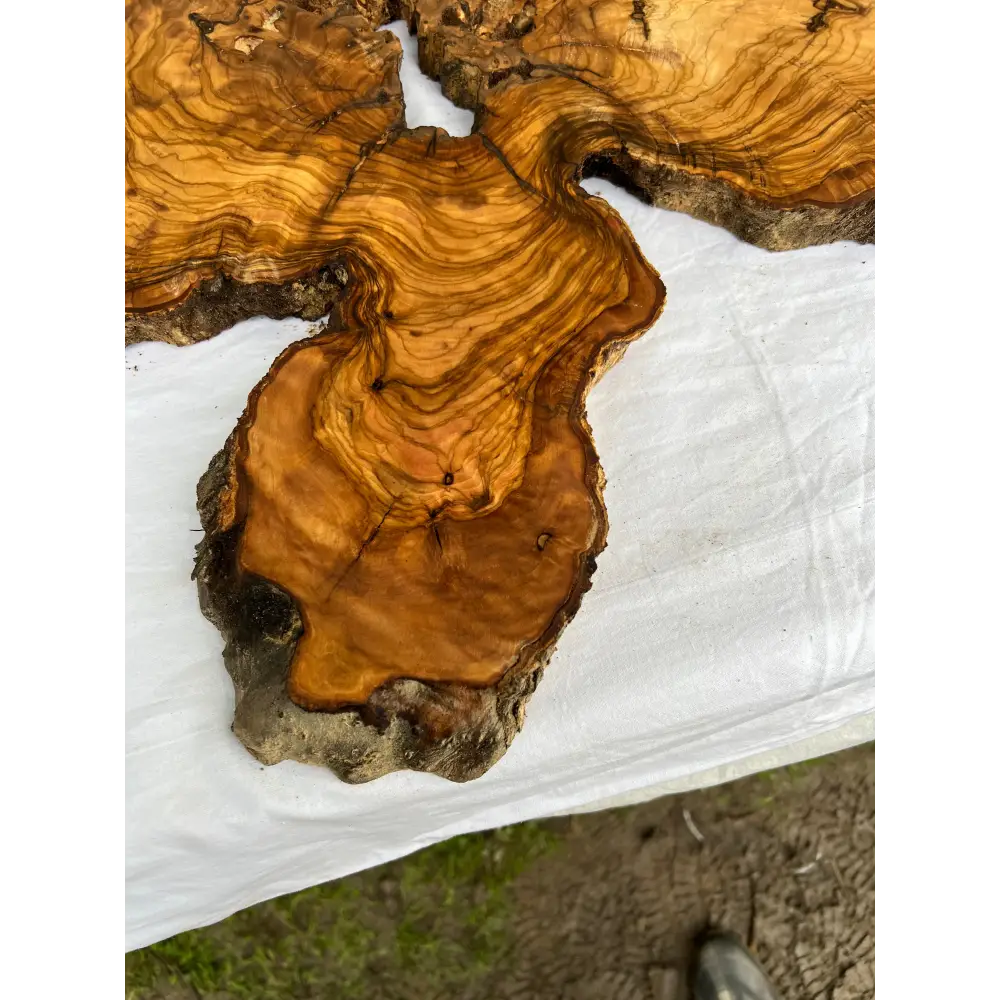 Rare Live Edge Olive Wood Slab (44x64cm) - Super Dry Epoxy Resin Lumber for Coffee Table, Clock & Guitar Body - Unique Natural Grain Art.