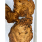 Rare Live Edge Olive Wood Slab (44x64cm) - Super Dry Epoxy Resin Lumber for Coffee Table, Clock & Guitar Body - Unique Natural Grain Art.