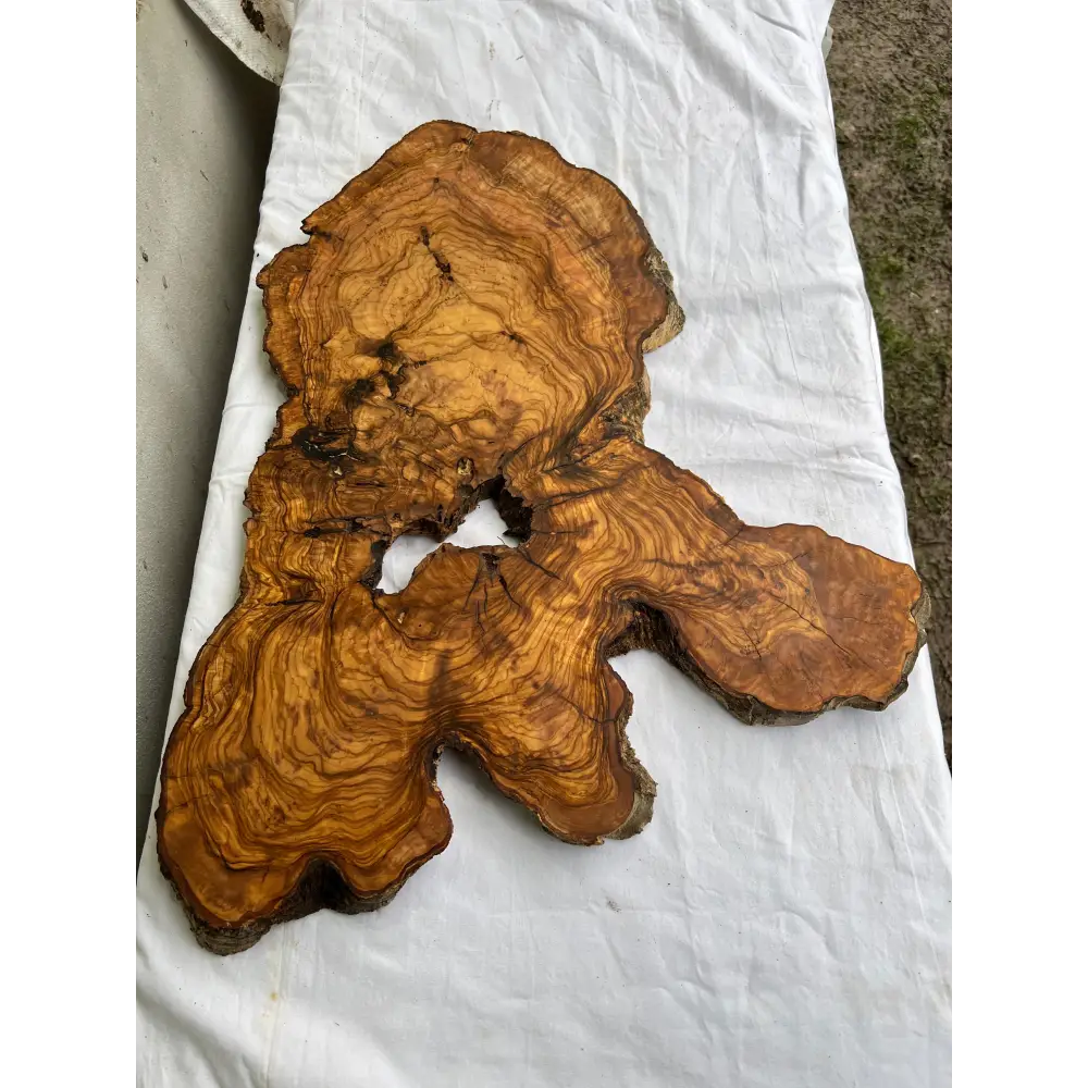 Rare Olive Wood Live Edge Slab 46x66cm - Super Dry Unique Grain for Epoxy Resin Art, Coffee Table & Luthier Craft - Sustainable Luxury.