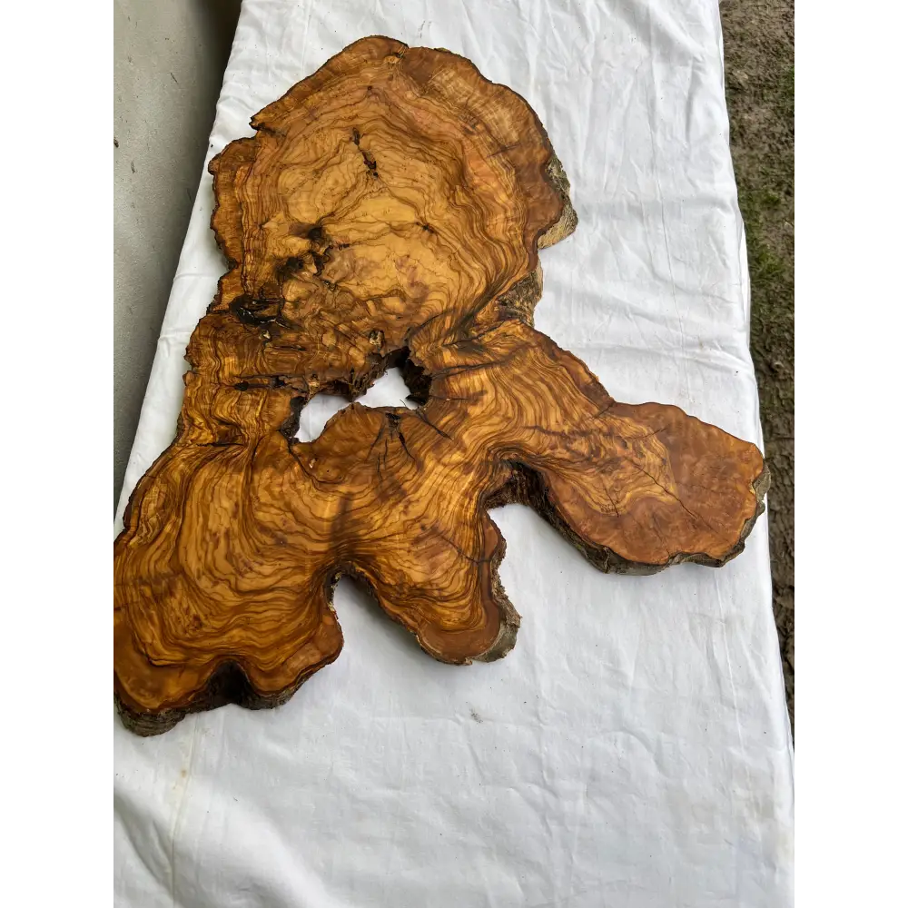 Rare Olive Wood Live Edge Slab 46x66cm - Super Dry Unique Grain for Epoxy Resin Art, Coffee Table & Luthier Craft - Sustainable Luxury.