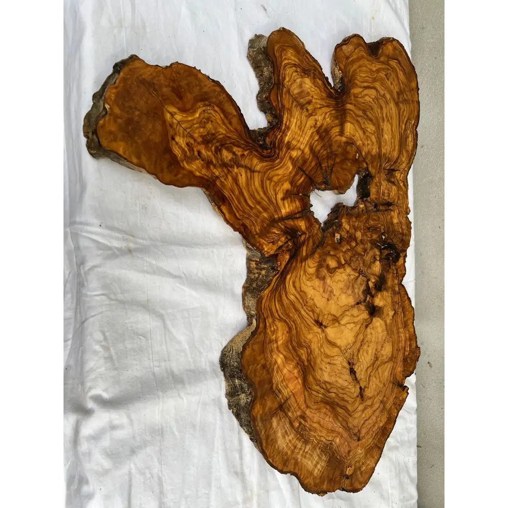 Rare Olive Wood Live Edge Slab 46x66cm - Super Dry Unique Grain for Epoxy Resin Art, Coffee Table & Luthier Craft - Sustainable Luxury.
