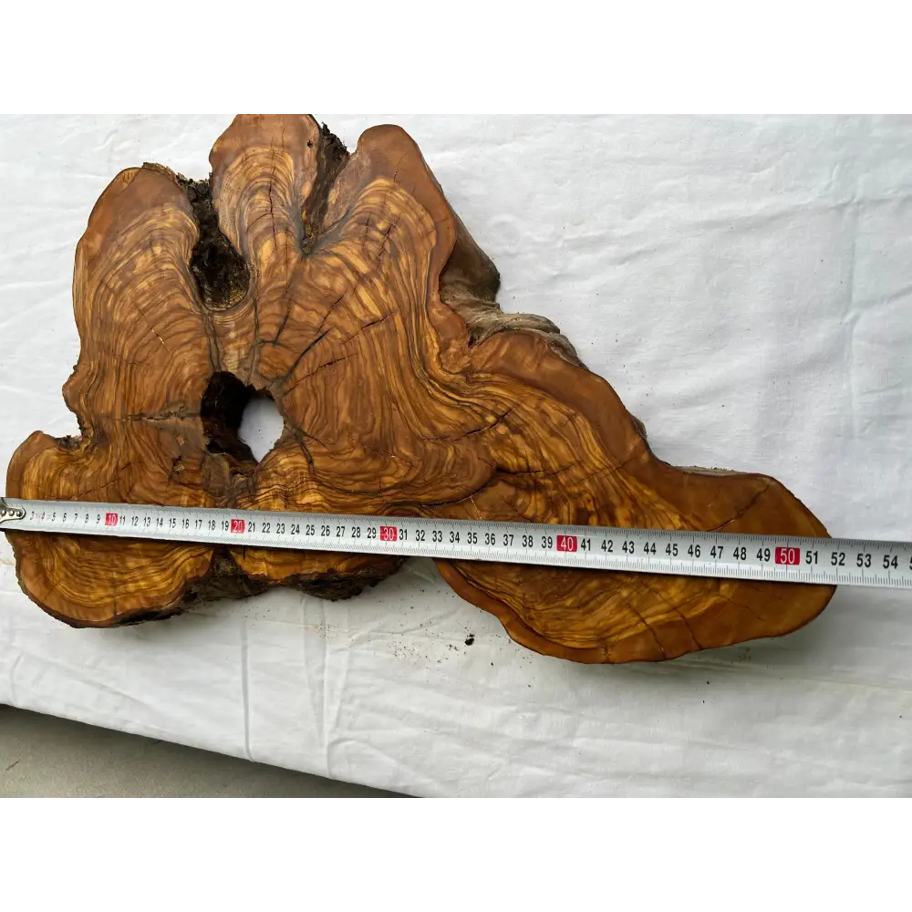 Rare Olive Wood Slab 28x52cm | Dry Live Edge Burl for Resin Art, Clock & Luthier | Unique Grain Sustainable Luxury Woodworking Material.