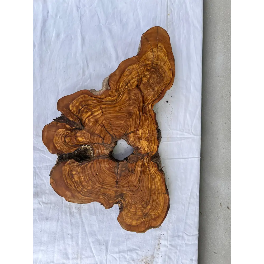 Rare Olive Wood Slab 28x52cm | Dry Live Edge Burl for Resin Art, Clock & Luthier | Unique Grain Sustainable Luxury Woodworking Material.