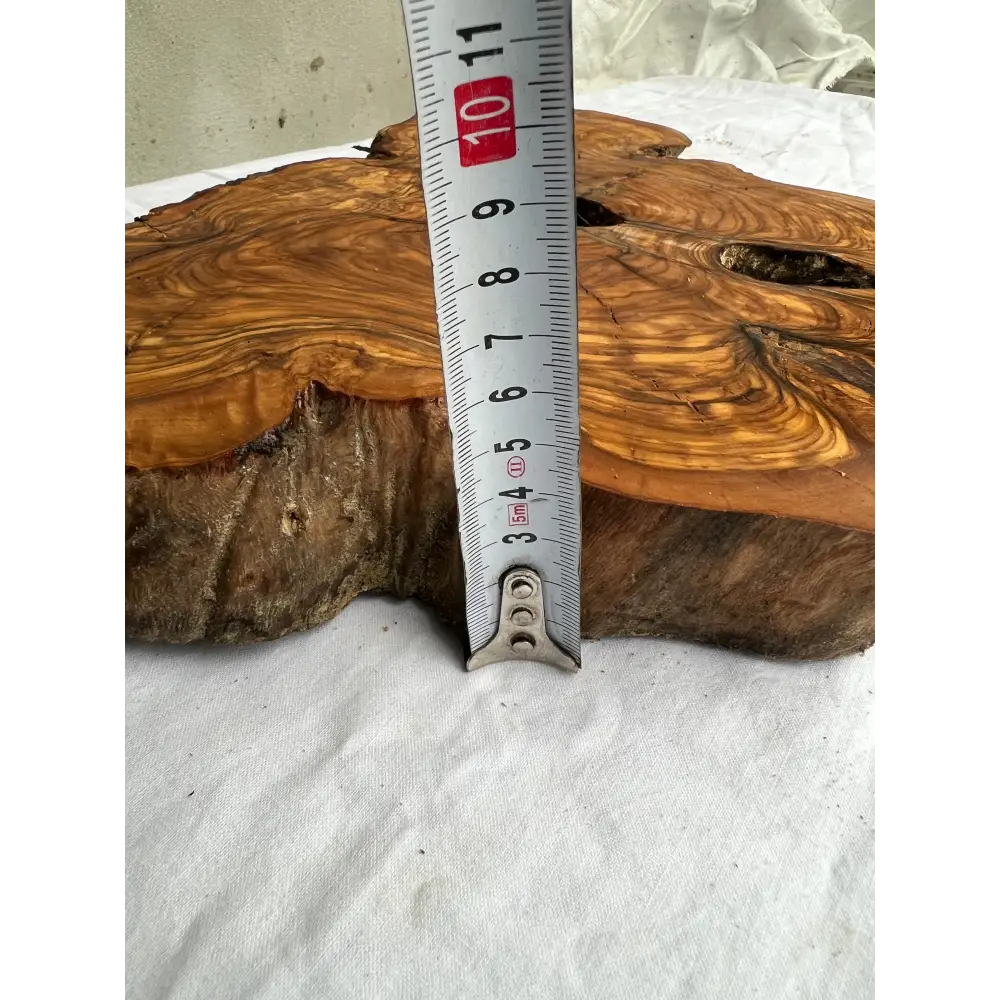 Rare Olive Wood Slab 28x52cm | Dry Live Edge Burl for Resin Art, Clock & Luthier | Unique Grain Sustainable Luxury Woodworking Material.