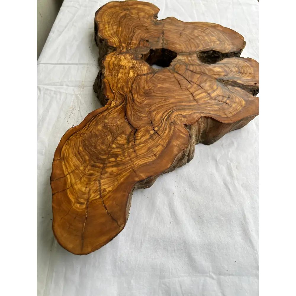 Rare Olive Wood Slab 28x52cm | Dry Live Edge Burl for Resin Art, Clock & Luthier | Unique Grain Sustainable Luxury Woodworking Material.