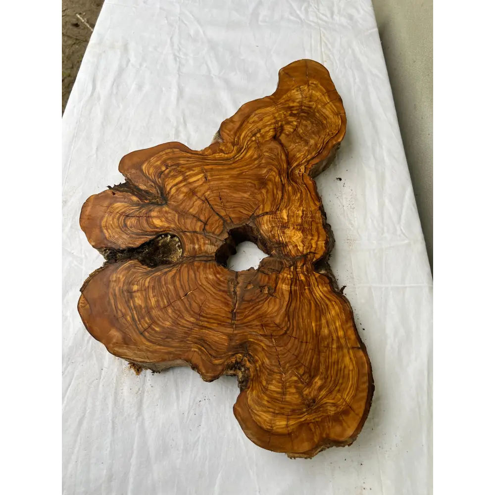 Rare Olive Wood Slab 28x52cm | Dry Live Edge Burl for Resin Art, Clock & Luthier | Unique Grain Sustainable Luxury Woodworking Material.