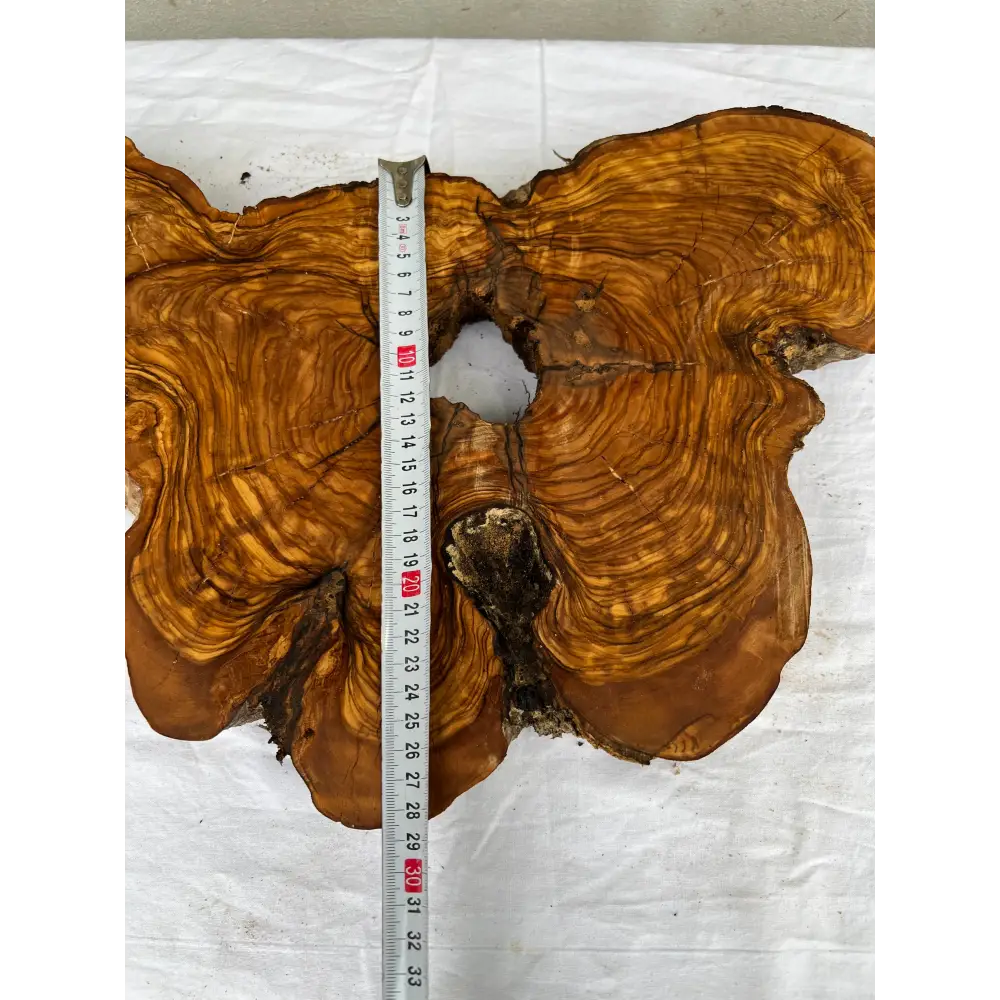 Rare Olive Wood Slab 28x52cm | Dry Live Edge Burl for Resin Art, Clock & Luthier | Unique Grain Sustainable Luxury Woodworking Material.