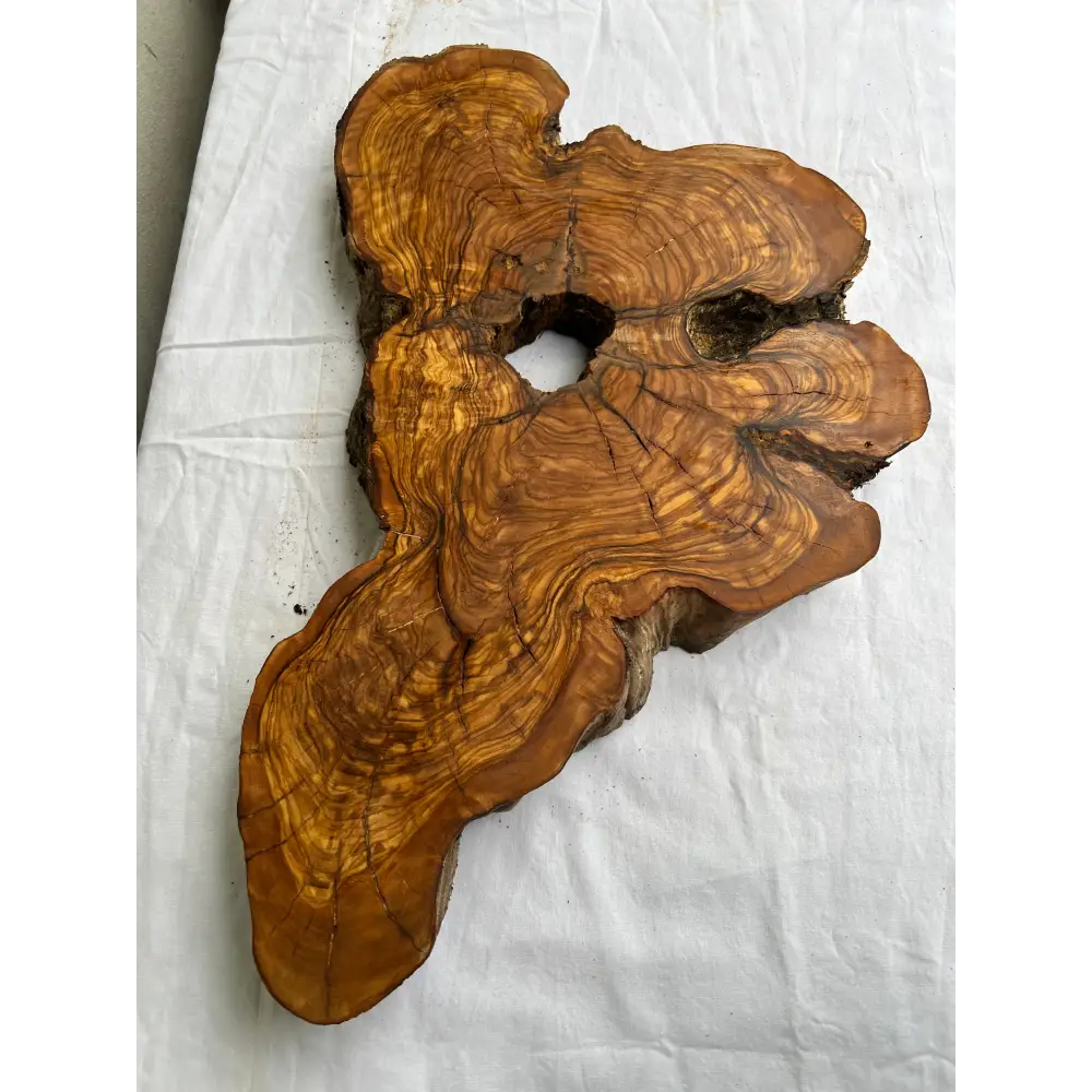 Rare Olive Wood Slab 28x52cm | Dry Live Edge Burl for Resin Art, Clock & Luthier | Unique Grain Sustainable Luxury Woodworking Material.