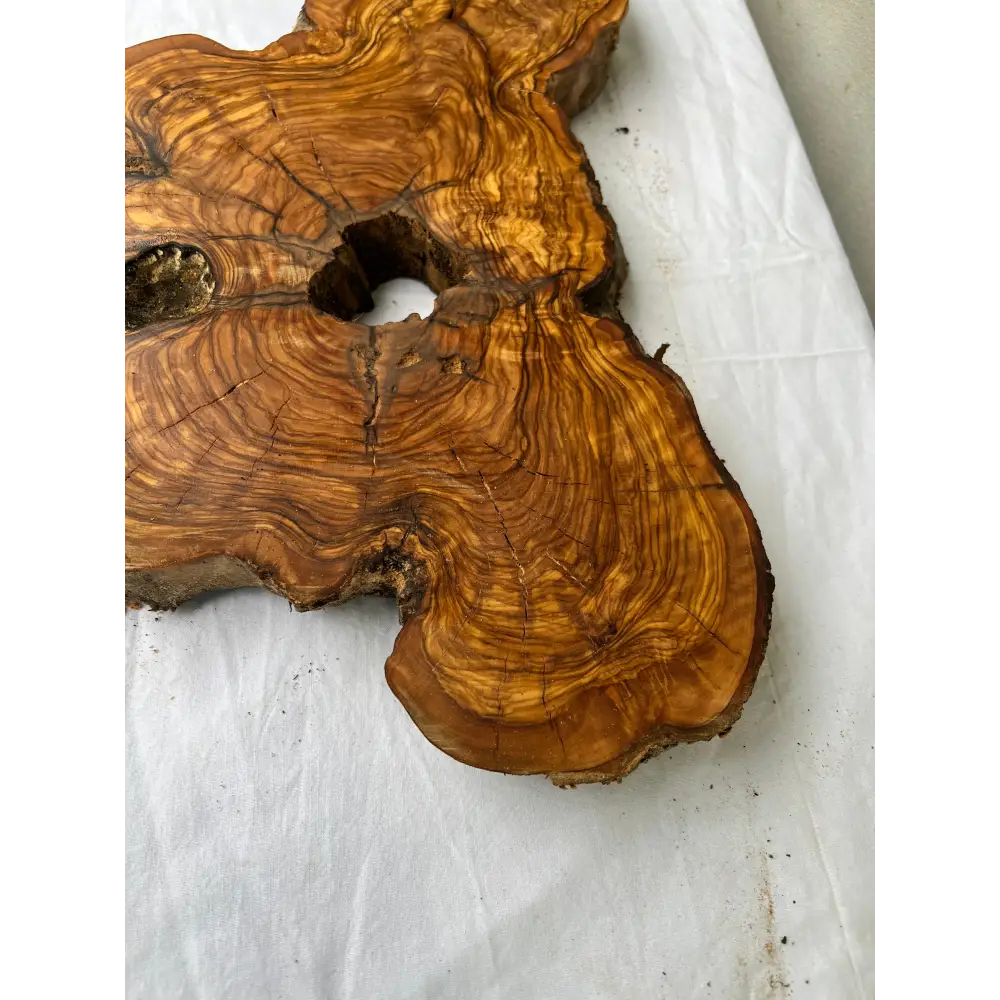 Rare Olive Wood Slab 28x52cm | Dry Live Edge Burl for Resin Art, Clock & Luthier | Unique Grain Sustainable Luxury Woodworking Material.