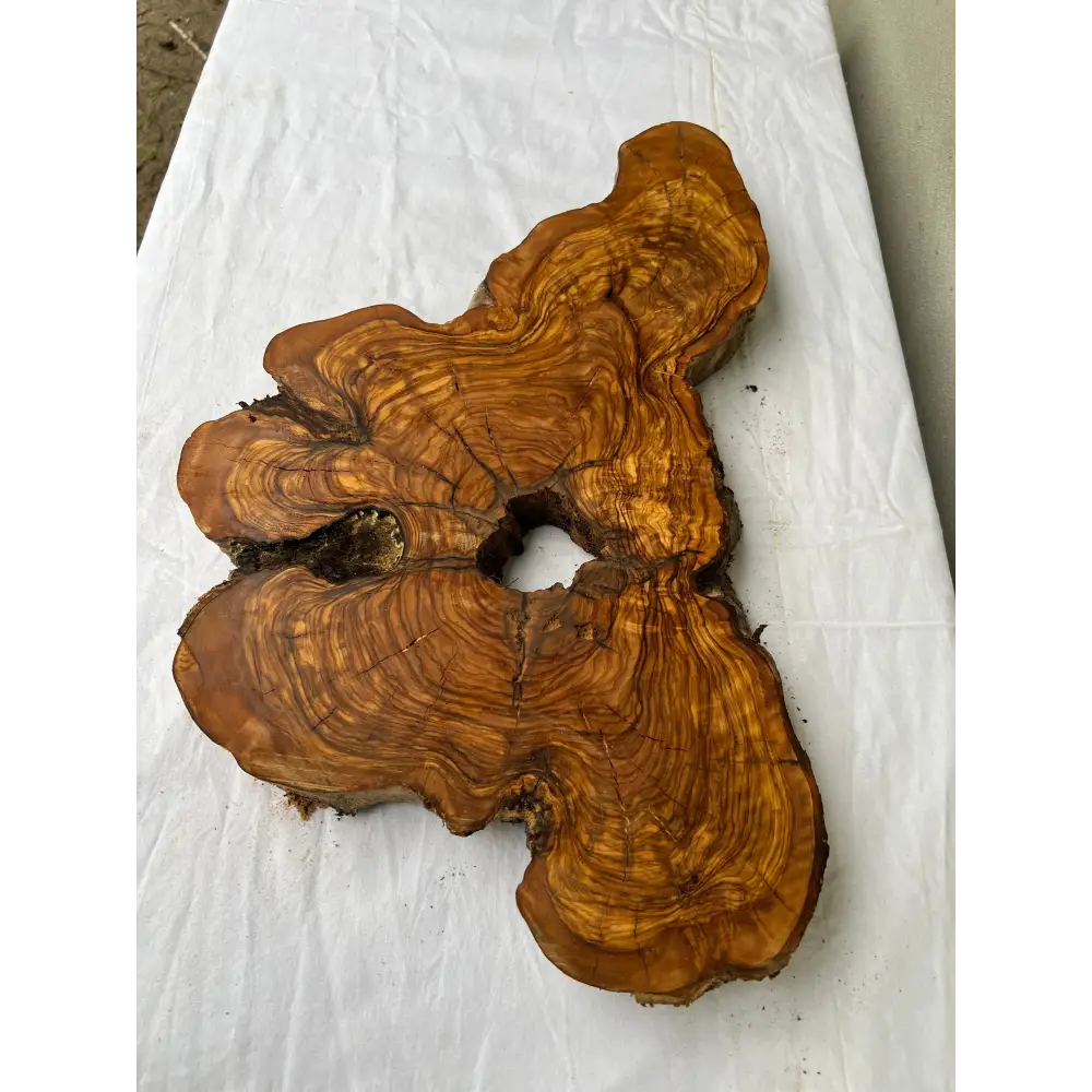 Rare Olive Wood Slab 28x52cm | Dry Live Edge Burl for Resin Art, Clock & Luthier | Unique Grain Sustainable Luxury Woodworking Material.
