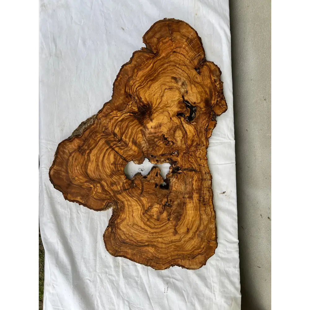 Rare Olive Wood Slab 40x64cm - Live Edge for Epoxy Resin Table & Wall Art - Super Dry Luthier Wood - Sustainable Luxury Unique Grain.