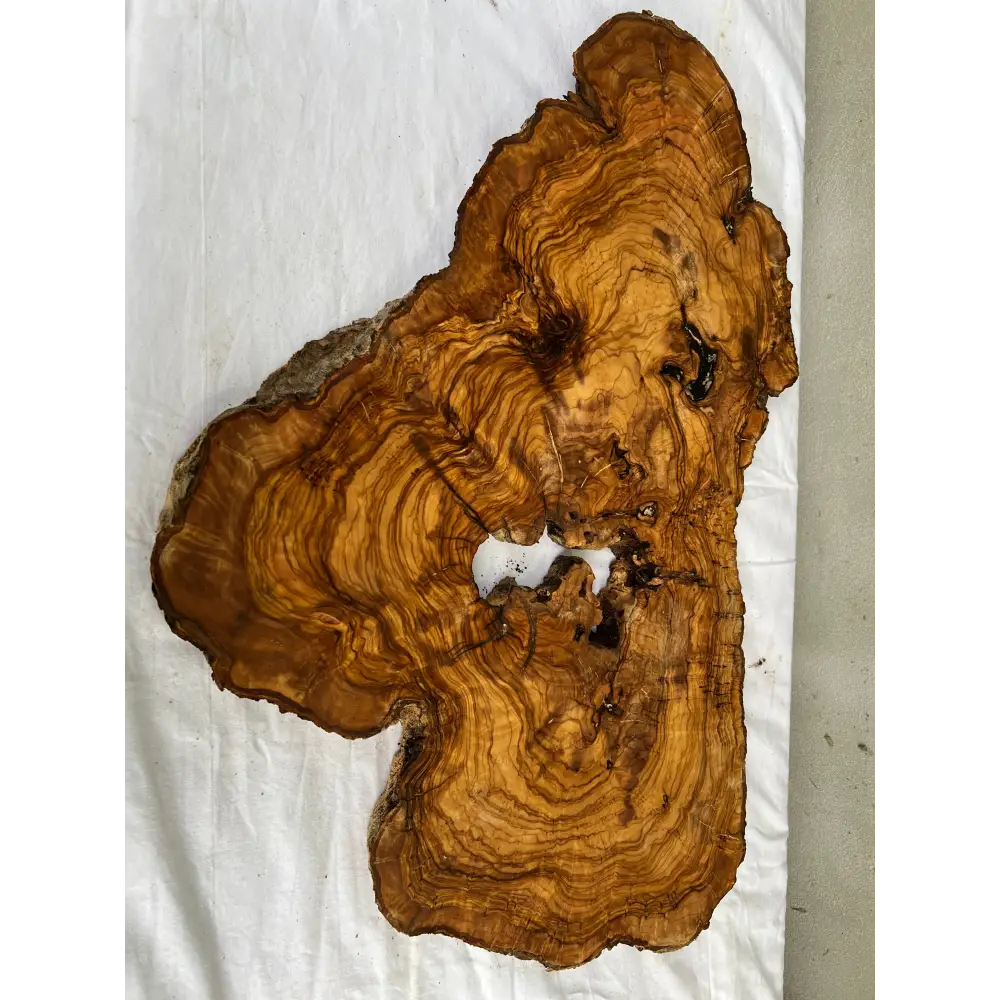 Rare Olive Wood Slab 40x64cm - Live Edge for Epoxy Resin Table & Wall Art - Super Dry Luthier Wood - Sustainable Luxury Unique Grain.