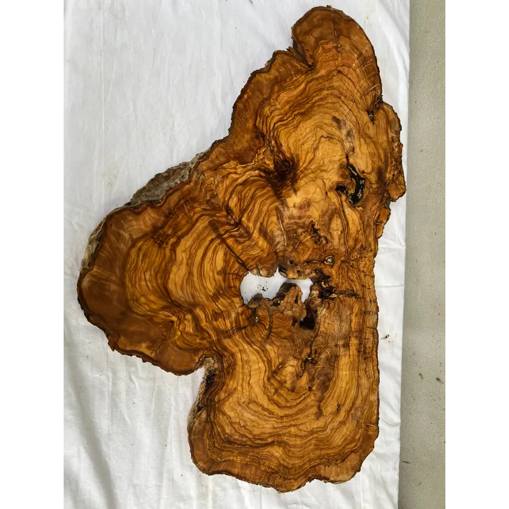 Rare Olive Wood Slab 40x64cm - Live Edge for Epoxy Resin Table & Wall Art - Super Dry Luthier Wood - Sustainable Luxury Unique Grain.