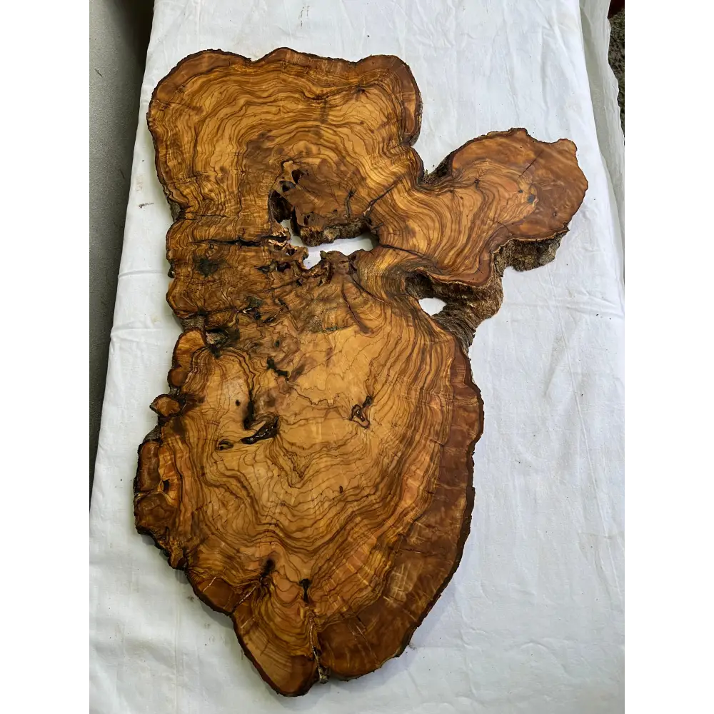 Rare Olive Wood Slab 42x65cm | Live Edge for Epoxy Resin & Wall Art | Unique Grain Sustainable Luxury | Super Dry DIY Craft Wood.