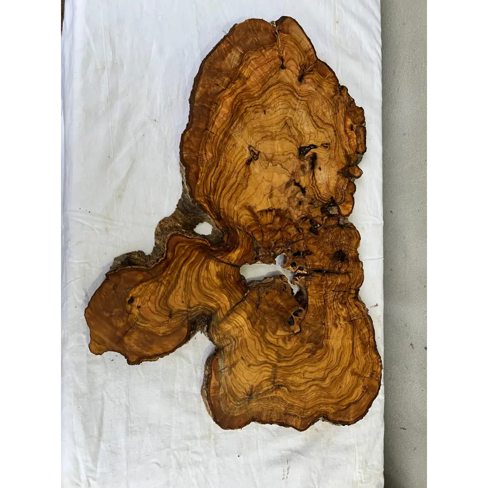 Rare Olive Wood Slab 42x65cm | Live Edge for Epoxy Resin & Wall Art | Unique Grain Sustainable Luxury | Super Dry DIY Craft Wood.