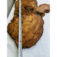Rare Olive Wood Slab 42x65cm | Live Edge for Epoxy Resin & Wall Art | Unique Grain Sustainable Luxury | Super Dry DIY Craft Wood.