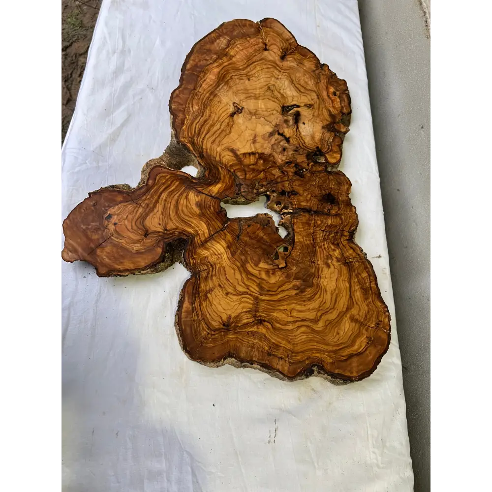 Rare Olive Wood Slab 42x65cm | Live Edge for Epoxy Resin & Wall Art | Unique Grain Sustainable Luxury | Super Dry DIY Craft Wood.