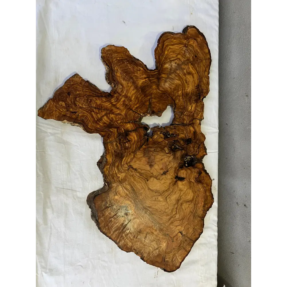 Rare Olive Wood Slab 43x66cm | Live Edge for Epoxy Resin & Coffee Table | Premium Dry Luthier Wood | Unique Grain Sustainable Luxury Art.