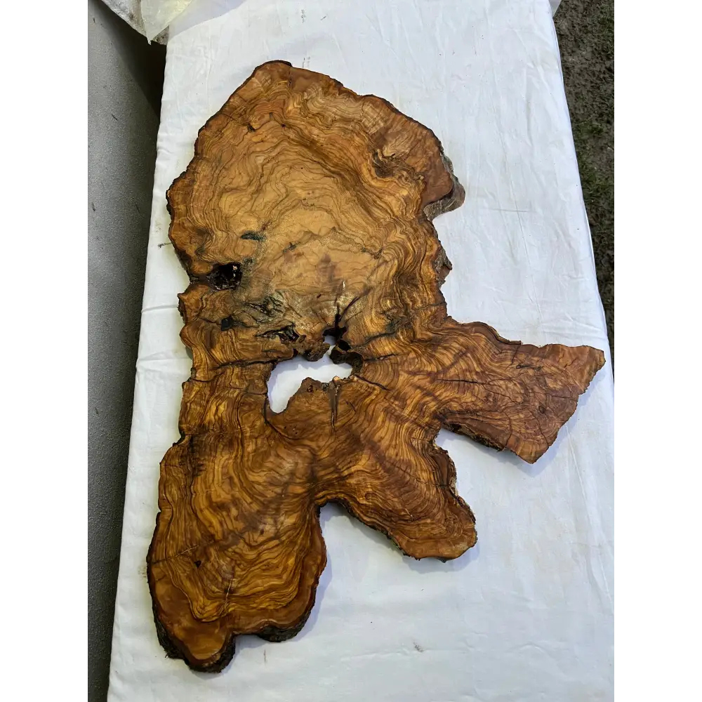 Rare Olive Wood Slab 43x66cm | Live Edge for Epoxy Resin & Coffee Table | Premium Dry Luthier Wood | Unique Grain Sustainable Luxury Art.