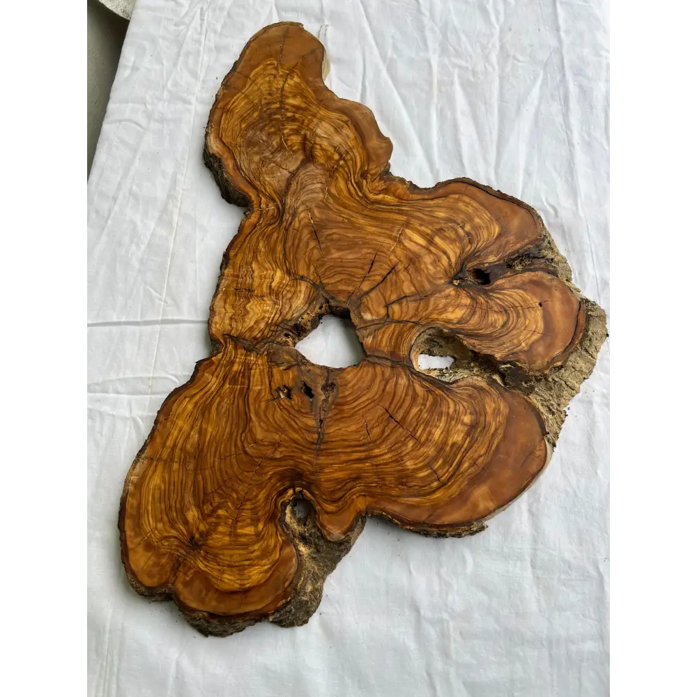 Rare Olive Wood Slab 53x30cm Live Edge for Epoxy Resin Art, Luxury Coffee Table & Clock Making | Super Dry 3% Moisture Unique Grain DIY.