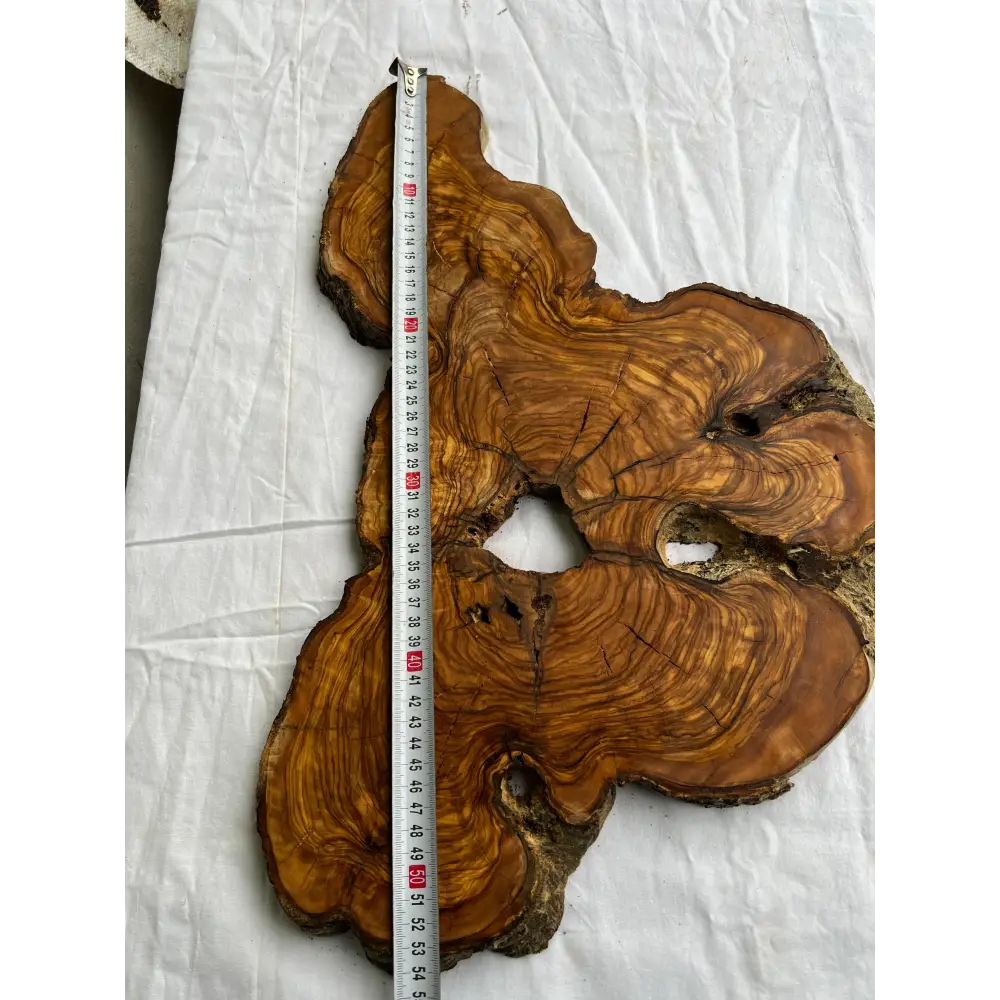 Rare Olive Wood Slab 53x30cm Live Edge for Epoxy Resin Art, Luxury Coffee Table & Clock Making | Super Dry 3% Moisture Unique Grain DIY.