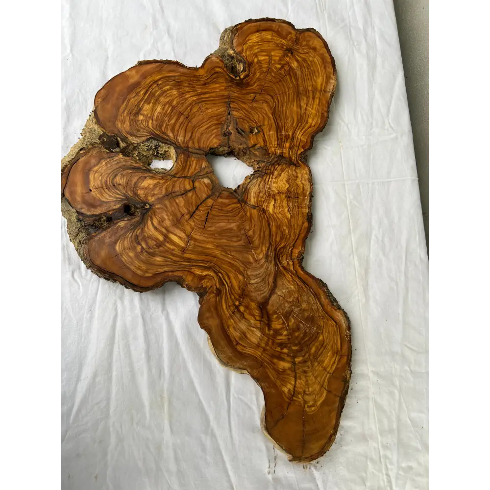 Rare Olive Wood Slab 53x30cm Live Edge for Epoxy Resin Art, Luxury Coffee Table & Clock Making | Super Dry 3% Moisture Unique Grain DIY.