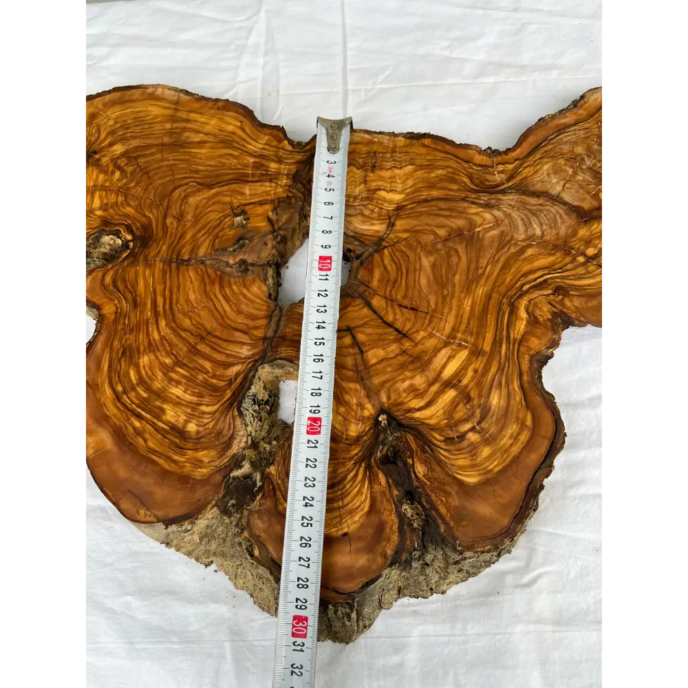 Rare Olive Wood Slab 53x30cm Live Edge for Epoxy Resin Art, Luxury Coffee Table & Clock Making | Super Dry 3% Moisture Unique Grain DIY.