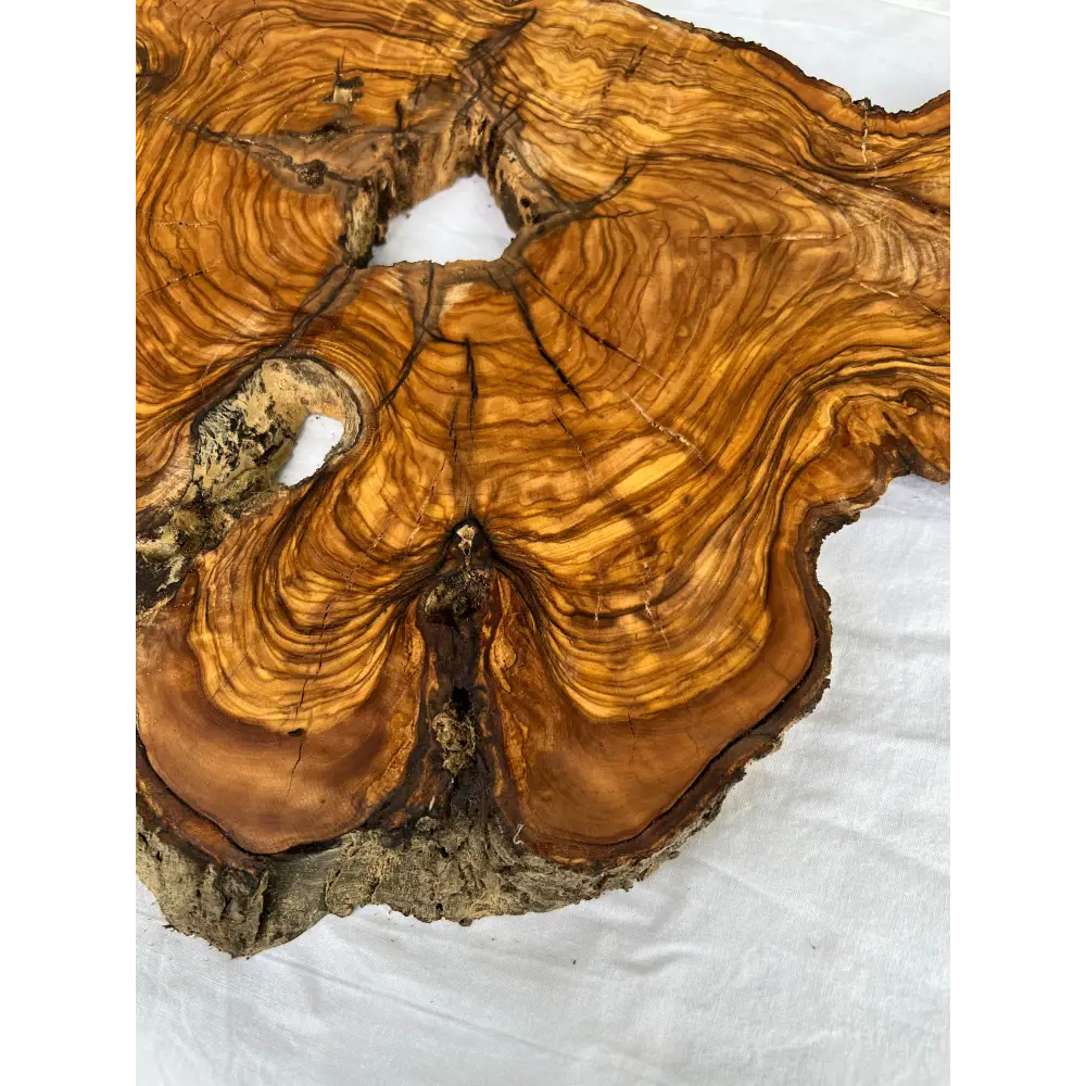 Rare Olive Wood Slab 53x30cm Live Edge for Epoxy Resin Art, Luxury Coffee Table & Clock Making | Super Dry 3% Moisture Unique Grain DIY.