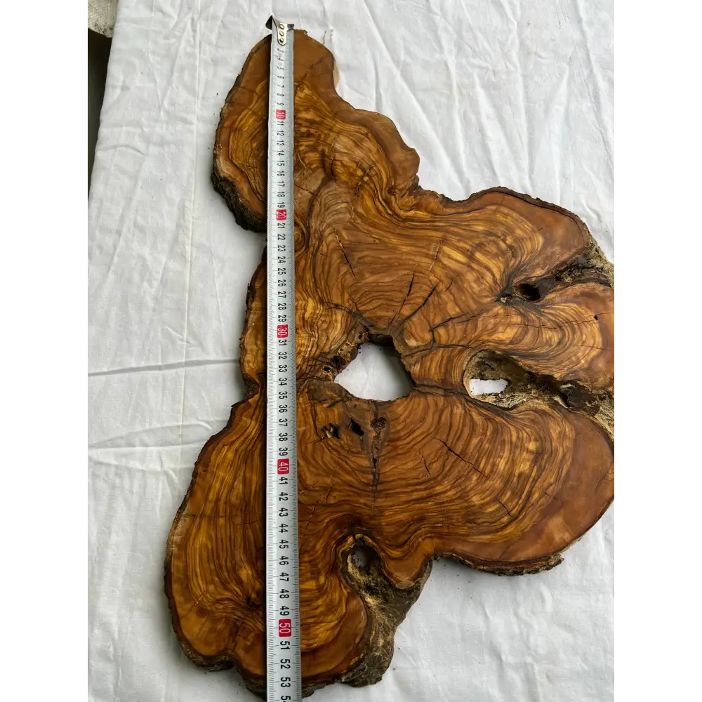 Rare Olive Wood Slab 53x30cm Live Edge for Epoxy Resin Art, Luxury Coffee Table & Clock Making | Super Dry 3% Moisture Unique Grain DIY.