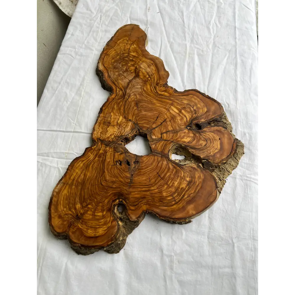 Rare Olive Wood Slab 53x30cm Live Edge for Epoxy Resin Art, Luxury Coffee Table & Clock Making | Super Dry 3% Moisture Unique Grain DIY.