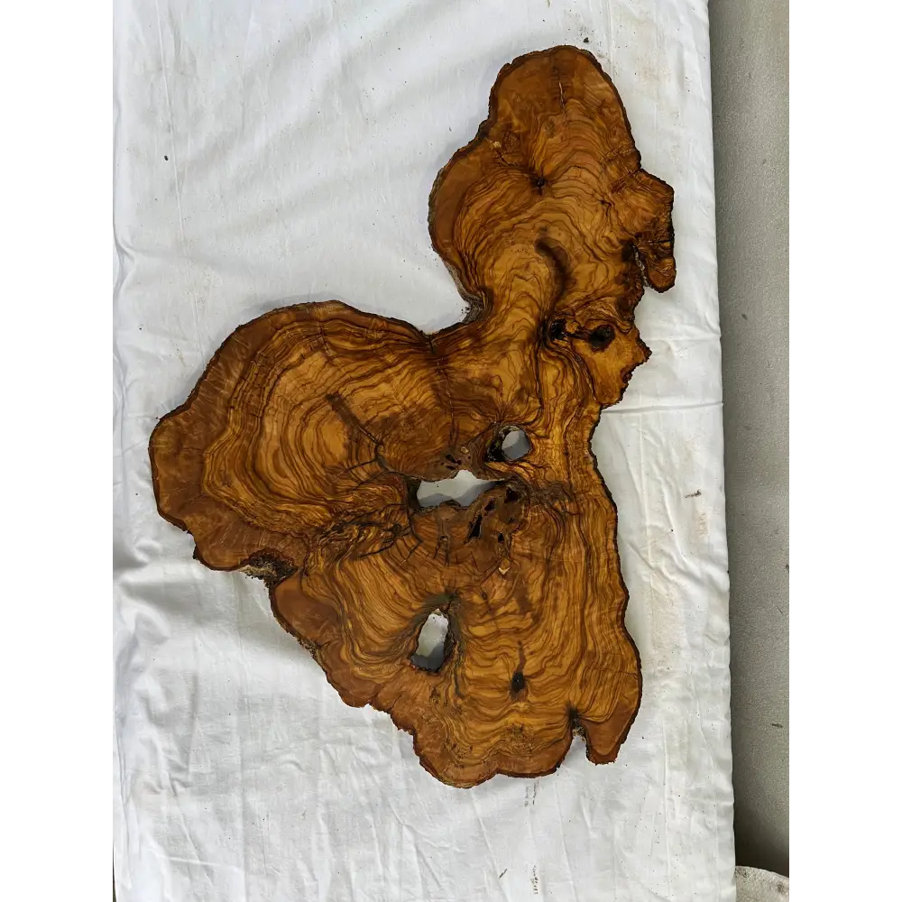 Rare Olive Wood Slab Live Edge 37x60cm | Unique Grain for Epoxy Resin & Coffee Table | Premium Luthier Wood | Sustainable Luxury Art.