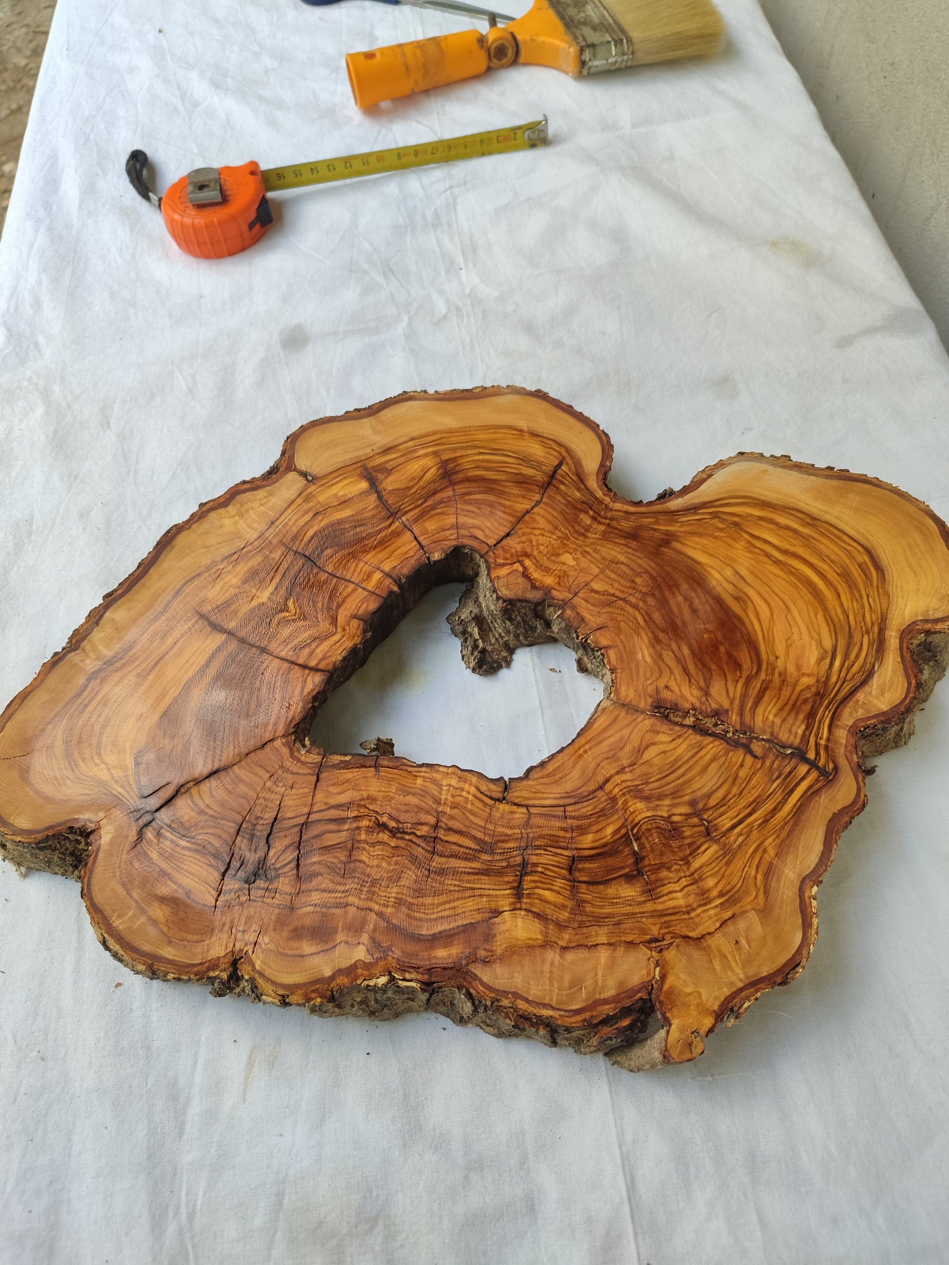 Rare Olive Wood Slab – Live Edge Unique Grain Sustainable Luxury – 27x40x3 cm - Olive Generic